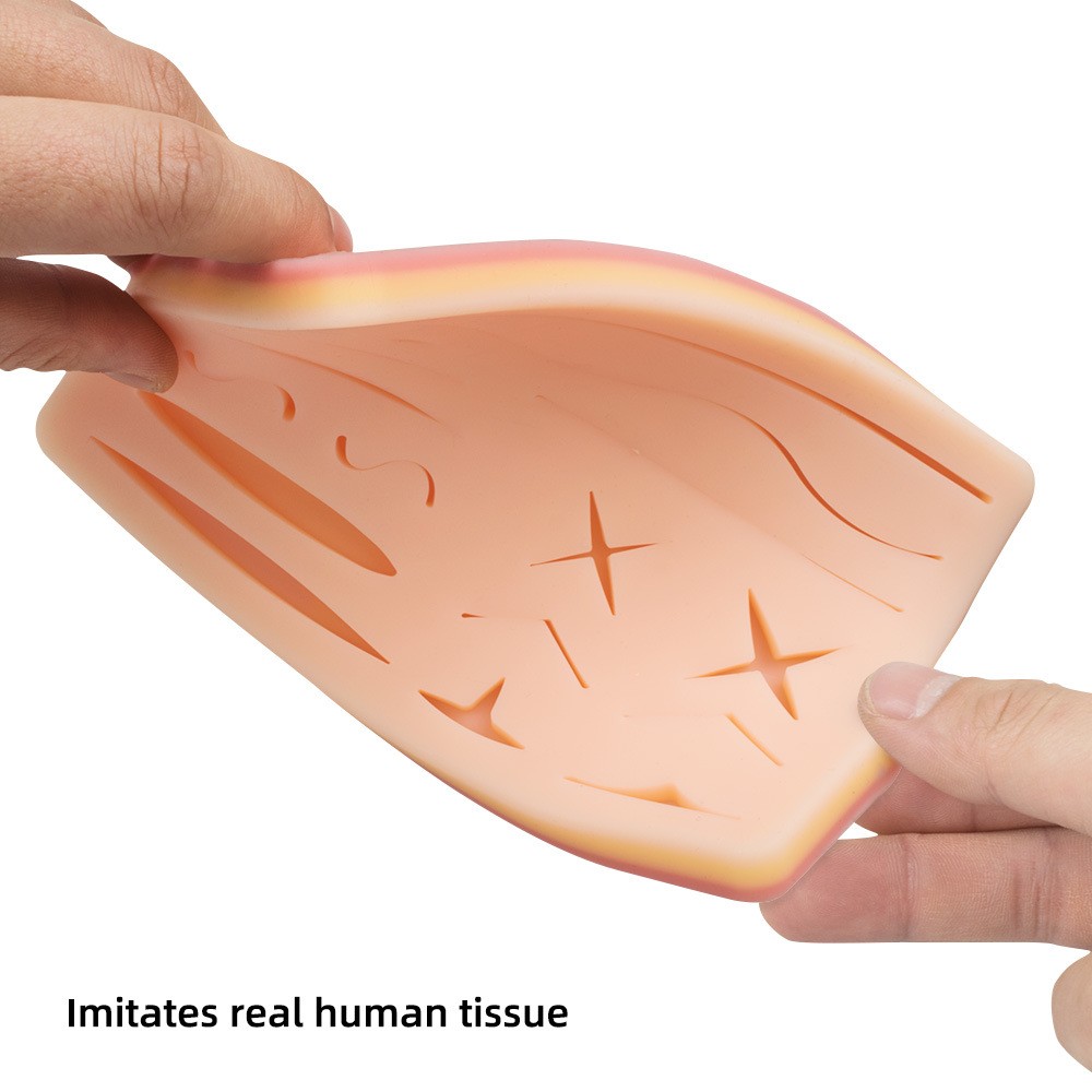 Suture Skin Model
