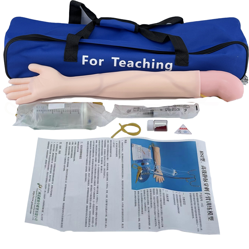 Arm Venipuncture Model Long Arm