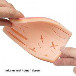 Suture Skin Model