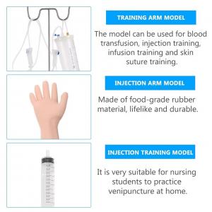 Arm Venipuncture Model Long Arm