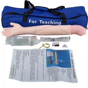 TRAINING ARM MODEL
