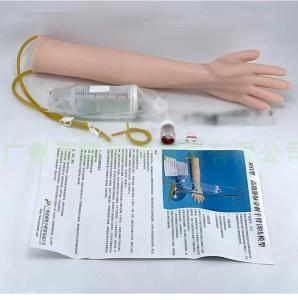 TRAINING ARM MODEL